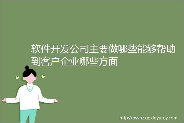 软件开发公司主要做哪些能够帮助到客户企业哪些方面