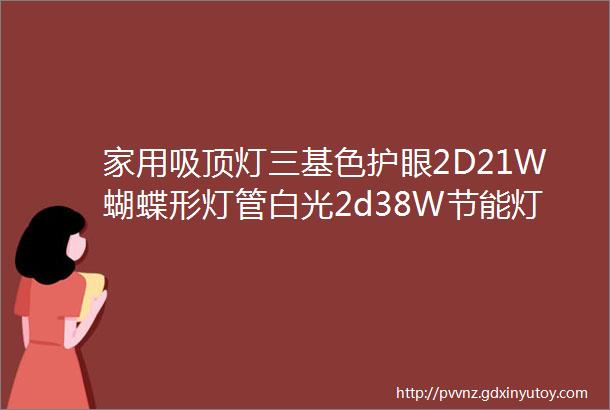 家用吸顶灯三基色护眼2D21W蝴蝶形灯管白光2d38W节能灯管镇流器